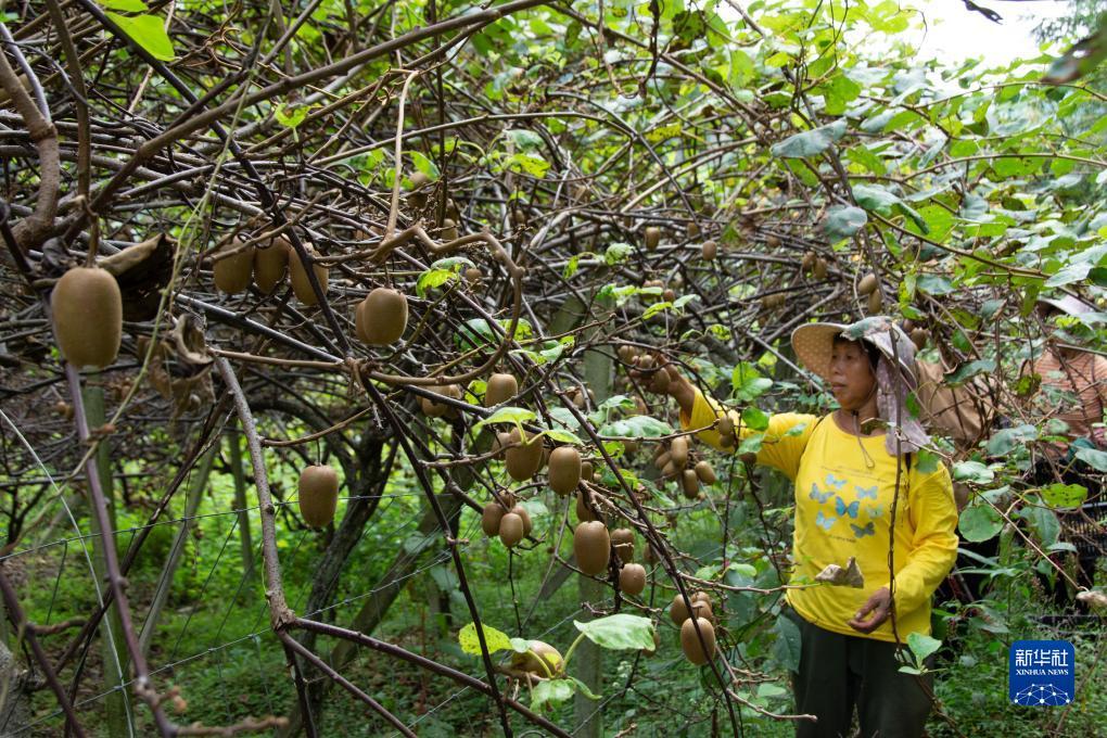 捕鱼游戏赚钱换人民币的网页